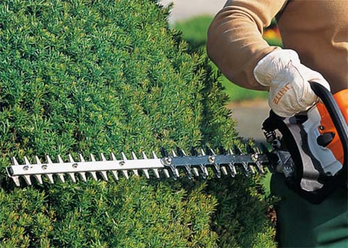 Hedge Trimmer